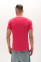 Футболка Чоловіча AndreStar 6721 з круглою горловиною малиновий (557178) фото 2